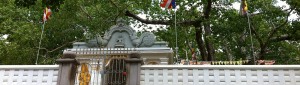 Anuradhapura - Bodhi Tree